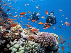 TOUR KHÁM PHÁ VỊNH NHA TRANG