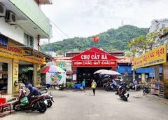 TOUR ĐẢO NGỌC CÁT BÀ – VỊNH LAN HẠ 2 NGÀY 1 ĐÊM