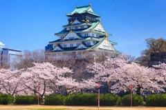 Tour Nhật Bản: Osaka – Kobe – Kyoto – Nagoya – Núi Phú Sĩ – Tokyo 6 Ngày 5 Đêm