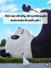 HÀ NỘI – THÀNH ĐÔ - CÔNG VIÊN GẤU TRÚC –  CỬU TRẠI CÂU – TRƯỢT TUYẾT GIA CÔ SƠN