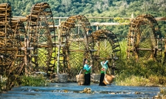 TOUR HÀ NỘI - MAI CHÂU - BẢN LÁC - PÙ LUÔNG - GUỒNG NƯỚC - CHỢ PHIÊN PHỐ ĐOÀN - SUỐI CÁ THẦN - THÁC MÂY 2 NGÀY 1 ĐÊM