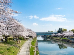 TOUR DU LỊCH TOKYO- NÚI PHÚ SĨ-NAGOYA-KYOTO- OSAKA 6 NGÀY 5 ĐÊM