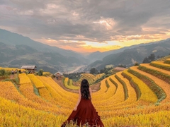 TOUR DU LỊCH MÙ CANG CHẢI MÙA LÚA CHÍN  2 NGÀY 1 ĐÊM