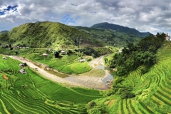 TOUR MÙ CANG CHẢI 3 NGÀY 2: HÀ NỘI - TRẠM TẤU - CU VAI