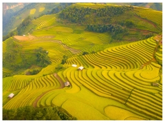 TOUR DU LỊCH MÙ CANG CHẢI MÙA LÚA CHÍN  2 NGÀY 1 ĐÊM