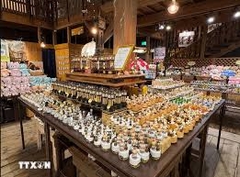TOUR HÀ NỘI - TOKYO - ASAKUSA - GINZA - ASAHIKAWA - SOUNKYO - SAPPORO - HÀ NỘI