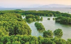 TOUR QUY NHƠN - PHÚ YÊN