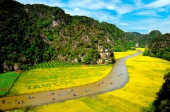 TOUR HÀ NỘI– NINH BÌNH – HẠ LONG – YÊN TỬ 3 NGÀY 2 ĐÊM