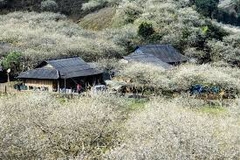 TOUR SAPA - LAI CHÂU - ĐIỆN BIÊN - MỘC CHÂU - MAI CHÂU