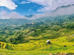 TOUR HÀ NỘI – SAPA – BẢN CÁT CÁT – HÀM RỒNG 2 NGÀY 1 ĐÊM