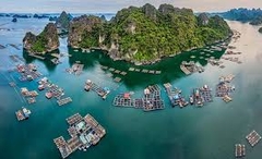 TOUR VỊNH HẠ LONG - CÔNG VIÊN HẠ LONG - BÃI CHÁY