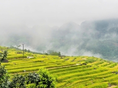TOUR HÀ NỘI - MAI CHÂU - BẢN LÁC - PÙ LUÔNG - GUỒNG NƯỚC - CHỢ PHIÊN PHỐ ĐOÀN - SUỐI CÁ THẦN - THÁC MÂY 2 NGÀY 1 ĐÊM
