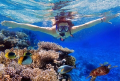 TRẢI NGHIỆM TOUR 4 ĐẢO - CÁP TREO HÒN THƠM TRONG 1 NGÀY