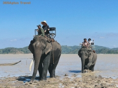 BẢO TÀNG CÀ PHÊ – LÀNG CÀ PHÊ – THÁC DRAY NUR – GIA LONG – VƯỜN QUỐC GIA YOK ĐÔN  3 NGÀY 2 ĐÊM