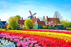 TOUR HÀ NỘI – FRANKFURT – COLOGNE – LÀNG CỔ GIETHOORN -  AMSTERDAM – ZAANSE SCHAN - BRUSSELS – LUXEMBOURG – REIMS - PARIS - HÀ NỘI 9 NGÀY 8 ĐÊM