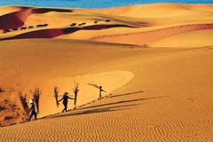 TOUR DU LỊCH LIMOUSINE PHAN THIẾT 3 NGÀY 2 ĐÊM: HỒ TRÀM - PHAN THIẾT - MŨI NÉ - CÔNG VIÊN TROPICANA
