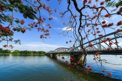 TOUR ĐÀ NẴNG 5 NGÀY 4 ĐÊM: HỘI AN - BÀ NÀ - HUẾ - ĐỘNG PHONG NHA