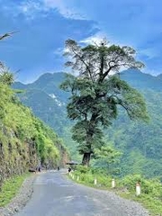TOUR HÀ GIANG -  LAI CHÂU - ĐIỆN BIÊN - MỘC CHÂU - MAI CHÂU