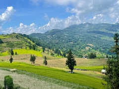 TOUR HÀ NỘI - HOÀNG SU PHÌ - BẢN PHÙNG - BẮC HÀ 3 NGÀY 2 ĐÊM