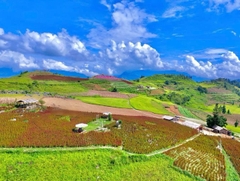 TOUR HÀ NỘI - HOÀNG SU PHÌ - BẢN PHÙNG - BẮC HÀ 3 NGÀY 2 ĐÊM