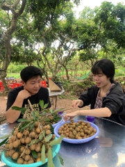 TOUR TRẢI NGHIỆM CỒN SƠN TRONG NGÀY