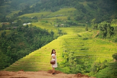 TOUR MÙ CANG CHẢI 3 NGÀY 2: HÀ NỘI - TRẠM TẤU - CU VAI
