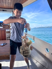 TOUR CÂU CÁ LỚN PHÚ QUỐC TRONG NGÀY