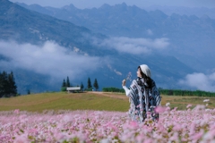 TOUR HÀ NỘI – HÀ GIANG – CAO BẰNG – BA BỂ 5 NGÀY 4 ĐÊM