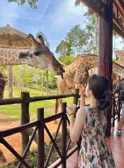 TOUR CÂU CÁ - KHÁM PHÁ THỊ TRẤN HOÀNG HÔN 1 NGÀY
