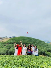 TOUR HÀ NỘI - MỘC CHÂU 2 NGÀY 1 ĐÊM