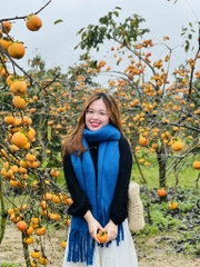 TOUR HÀ NỘI - MỘC CHÂU 2 NGÀY 1 ĐÊM
