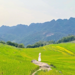 TOUR HÀ NỘI - MAI CHÂU - BẢN LÁC - PÙ LUÔNG - GUỒNG NƯỚC - CHỢ PHIÊN PHỐ ĐOÀN - SUỐI CÁ THẦN - THÁC MÂY 2 NGÀY 1 ĐÊM