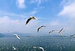 TOUR HÀ NỘI - HÀ KHẨU - ĐẠI LÝ - CÔN MINH - HÀ NỘI NOSHOP