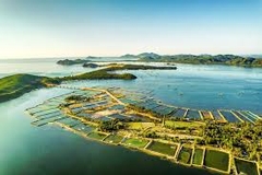TOUR HÀ NỘI- QUY NHƠN- PHÚ YÊN - HÀ NỘI