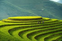 TOUR MÙ CANG CHẢI - SAPA - LAI CHÂU - ĐIỆN BIÊN - MỘC CHÂU - MAI CHÂU