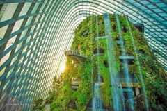 Tour Singapore 4 ngày 3 đêm: Khám phá trọn vẹn quốc đảo sư tử