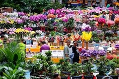 TOUR HÀ NỘI – CÔN MINH - HÀ NỘI