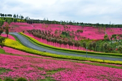 TOUR KHÁM PHÁ HÀ NỘI - LÀO CAI – HÀ KHẨU – BÌNH BIÊN - DI LẶC- KIẾN THỦY- MÔNG TỰ - HÀ KHẨU – LÀO CAI – HÀ NỘ
