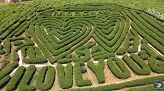TOUR HÀ NỘI - MỘC CHÂU - MƯỜNG PHĂNG - ĐIỆN BIÊN - HÀ NỘI
