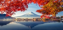 TOUR HCM - TOKYO - BẢO TÀNG HARRY POTTER - NÚI PHÚ SĨ - CỐ ĐÔ KYOTO - OSAKA - HCM