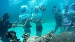 TOUR HÀ NỘI - NHA TRANG - HÀ NỘI 3N2Đ