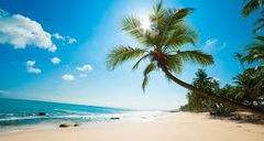 TOUR HÀ NỘI - SÀI GÒN -  PHAN THIẾT - HÀ NỘI