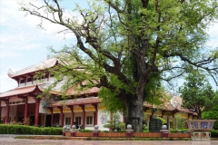 TOUR DU LỊCH HÀ NỘI – QUY NHƠN - TUY HÒA 4 NGÀY 3 ĐÊM