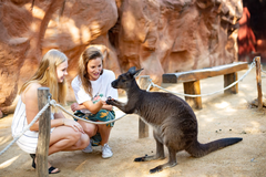 TOUR KHÁM PHÁ HÀ NỘI – SYDNEY – CANBERRA - MELBOURNE - HÀ NỘI