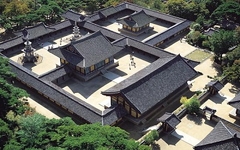TOUR HÀN QUỐC: BUSAN-GYEONGJU-SEOUL-ĐẢO NAMI-HAEUNDEA-CỎ HỒNG MUHLY-HUINNYEOUL