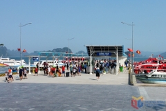 TOUR DU LỊCH BIỂN CÔ TÔ 2 NGÀY 1 ĐÊM