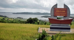 TOUR PHÚ YÊN - HOA VÀNG TRÊN CỎ XANH 1 NGÀY
