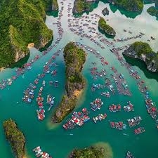TOUR ĐẢO NGỌC CÁT BÀ – VỊNH LAN HẠ 3 NGÀY 2 ĐÊM