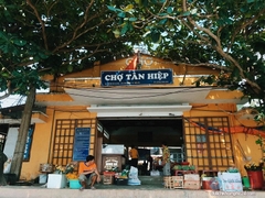 TOUR CÙ LAO CHÀM-ĐI BỘ DƯỚI BIỂN