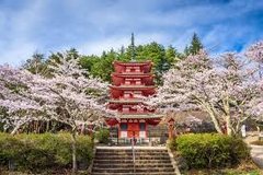 TOUR HÀ NỘI - TOKYO - HỒ ASHI - CHÙA ASAKUSA - HÀ NỘI